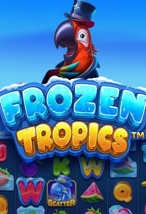 Amp Login di Cnn Slot: Nikmati Frozen Tropics Tanpa Hambatan