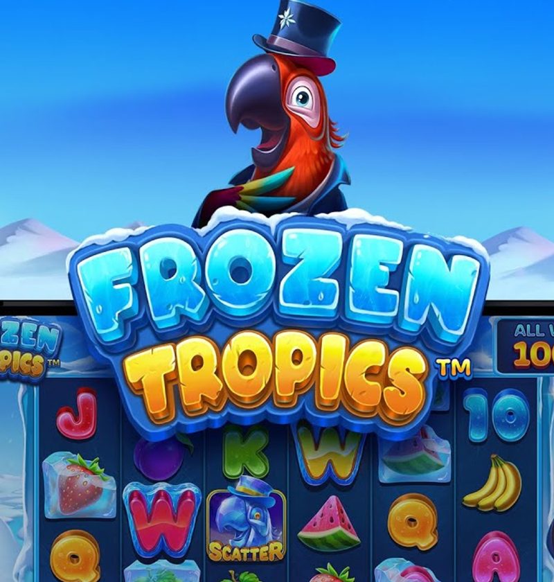 Amp Login di Cnn Slot: Nikmati Frozen Tropics Tanpa Hambatan