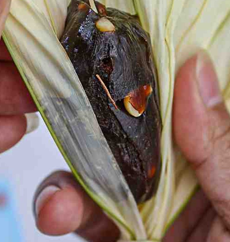Rahasia Kenikmatan Dodol Amurang dari Tanah Minahasa