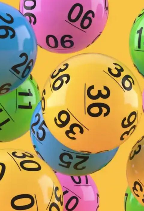 Bandar Toto Online di Tengah Sorotan Warganet Indonesia