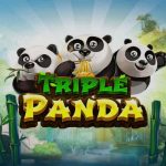 Makanan Baje 4 Hal Menarik yang Membuatnya Tetap Digemari