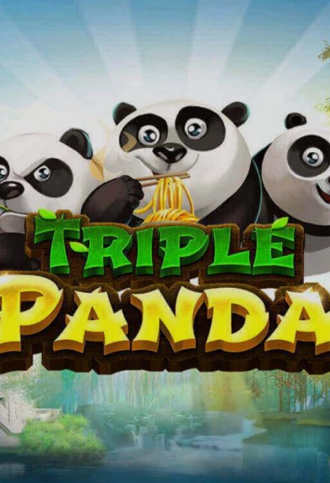 Dimana Sih Tempat Main Triple Panda dengan 4 Fitur Mantul
