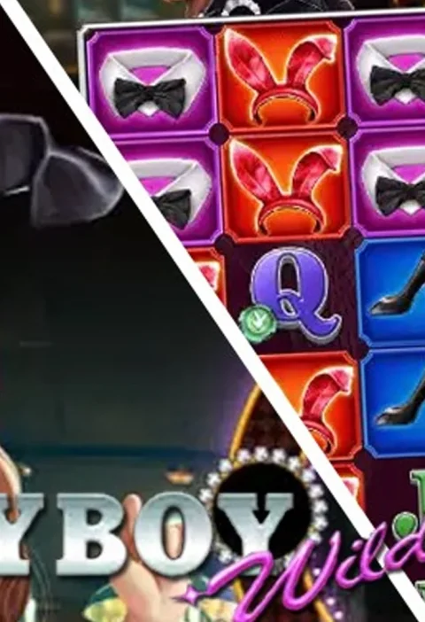 Gak Cuma Glamor, Ini 4 Sisi Terang Playboy Wilds yang Bikin Nendang