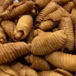 Kode Warna Fire Temple Ternyata 4 Palet yang Diprediksi Bakal Ngehits Banget