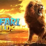 Bihun Gulung Dan 5 Rahasia Membuat Rasanya Tetap Gurih Dan Nikmat